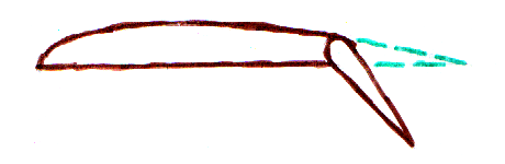 fig2 1 plain trailing