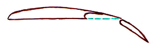 fig4 1 fowler