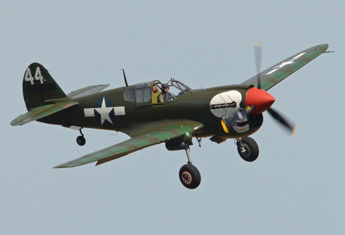 fig3 3 p40m