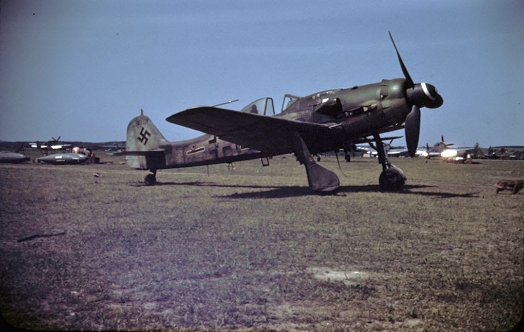 fig4 2 fw190