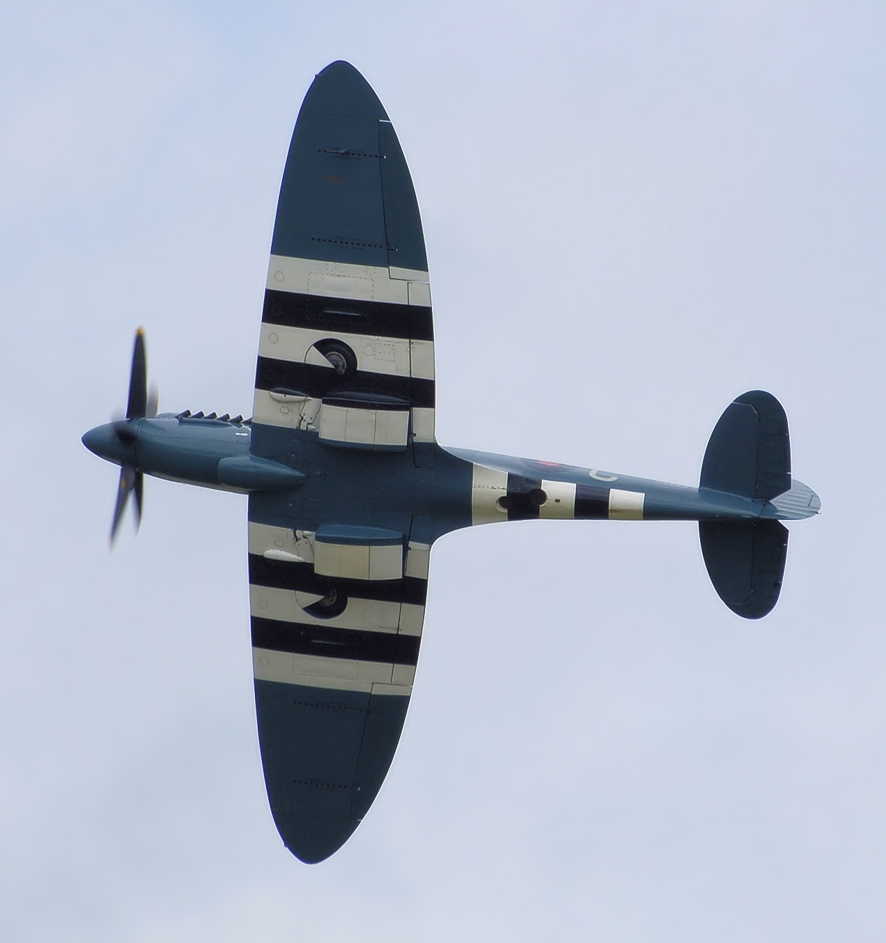 fig3 3 spitfire tail distance